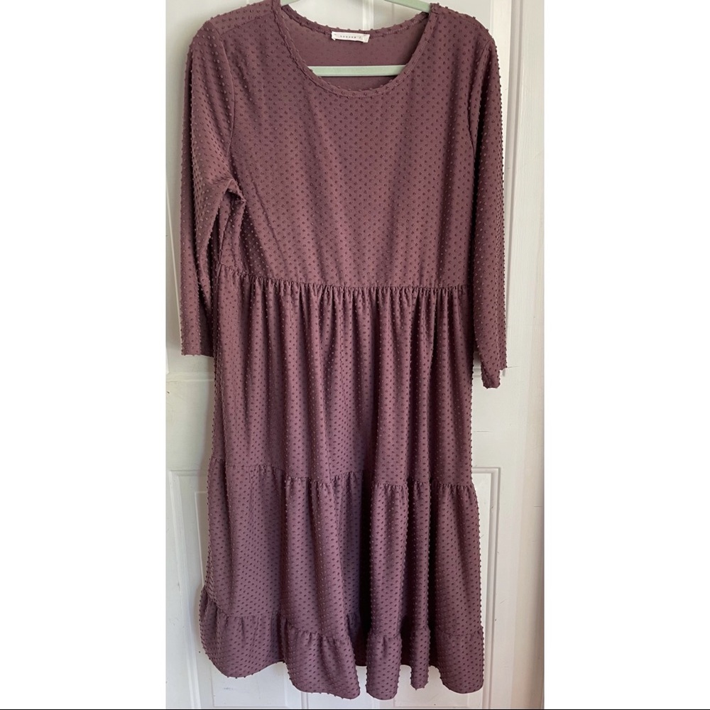 EUC Reborn J Swiss Dot Dress